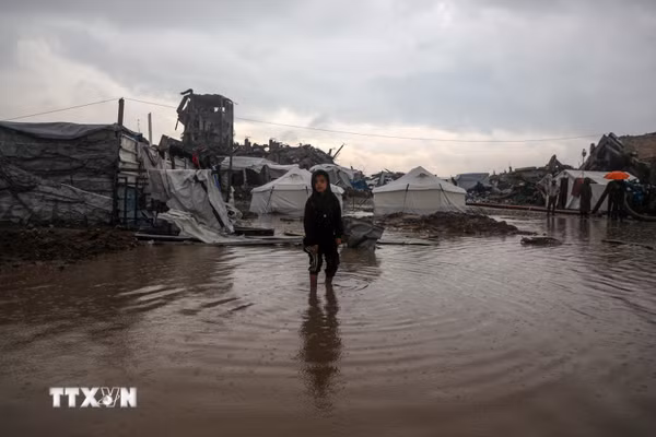 Liên hợp quốc cảnh báo nguy cơ ngập lụt nghiêm trọng tại Gaza trong mùa Đông