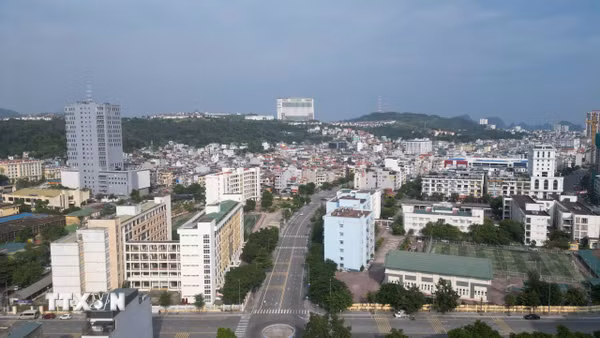 Quảng Ninh gỡ từng điểm nghẽn để hoàn thành cơ sở dữ liệu đất đai vào cuối 2026