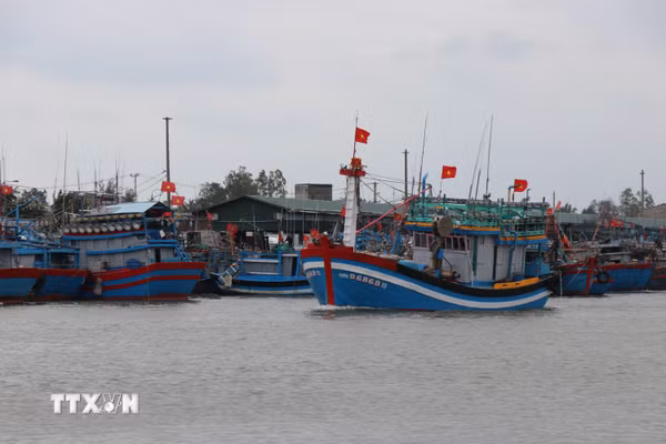 Quảng Ngãi siết chặt quản lý đội tàu cá, quyết liệt ngăn chặn vi phạm IUU