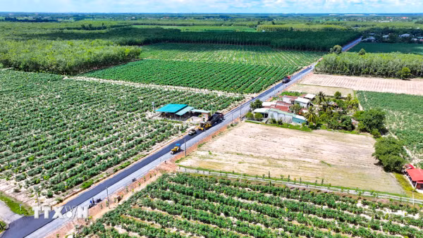 Khánh Hòa định hướng phát triển kinh tế tập thể theo hướng hiệu quả, bền vững