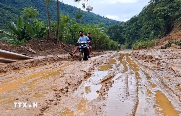 Từ Hà Tĩnh đến Quảng Ngãi chủ động ứng phó với mưa lớn, lũ quét và sạt lở đất