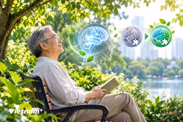Người cao tuổi sống gần cây xanh có nguy cơ sa sút trí tuệ thấp hơn 
