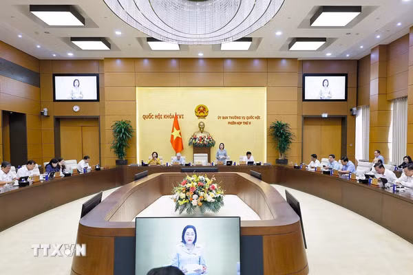 Ủy ban Thường vụ Quốc hội Quốc hội cho ý kiến về một số dự án Luật