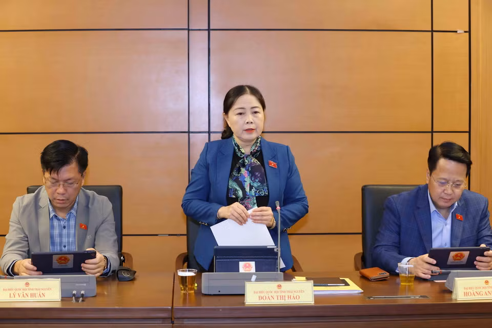 Đại biểu Quốc hội tỉnh Thái Nguyên Đoàn Thị Hảo phát biểu. (Ảnh: Phương Hoa/TTXVN)