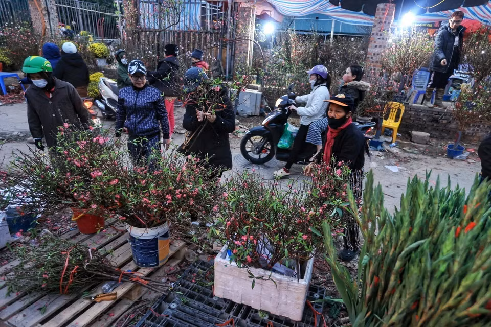 Các loại hoa được bày bán trong chợ lẫn ngoài đường trong ngày cuối năm. (Ảnh: Tuấn Anh/TTXVN)