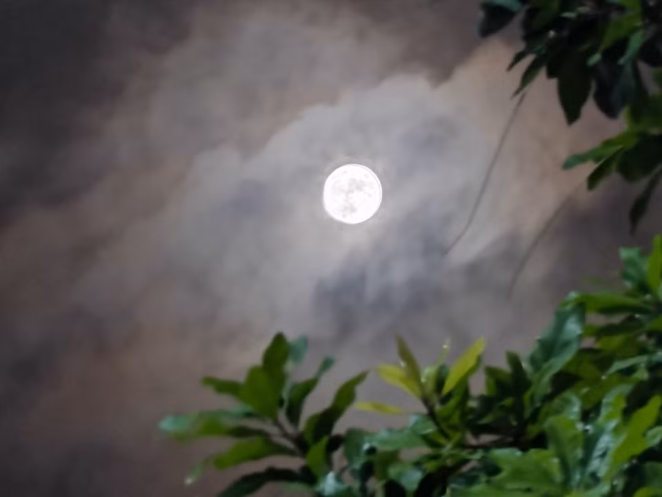 Siêu trăng trên bầu trời Hà Nội. (Ảnh: Thanh Tùng/TTXVN)