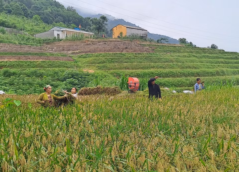 Người dân thôn Lũng Cáng (xã Thuận Hòa, Vị Xuyên, Hà Giang) sắp xếp lại cuộc sống, sinh hoạt sau lũ. (Ảnh: Đức Thọ/TTXVN)