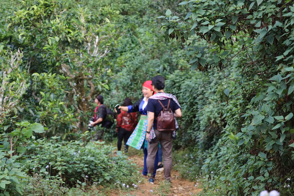  (Ảnh: Hạnh Nguyễn/Vietnam+)