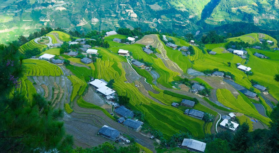 Ruộng lúa bậc thang ở xã Bản Phùng, huyện Hoàng Su Phì (Hà Giang). (Ảnh: Nguyễn Chiến/TTXVN)