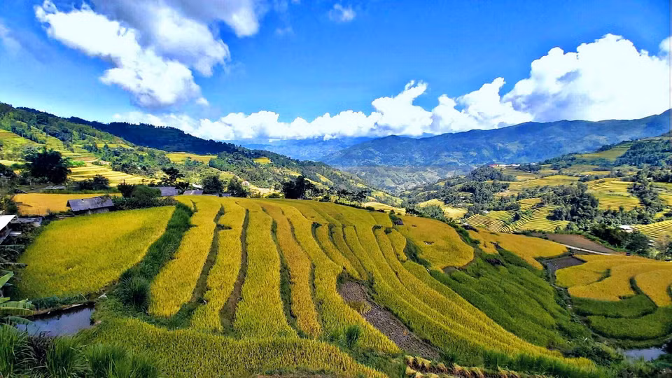 Ruộng bậc thang ở Tả Sử Choóng, huyện Hoàng Su Phì (Hà Giang). (Ảnh: Nguyễn Chiến/TTXVN)