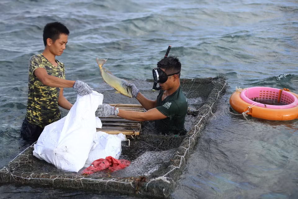 Đánh bắt hải sản để cải thiện bữa ăn của chiến sĩ đảo Thuyền Chài B. (Ảnh: Danh Lam/TTXVN)