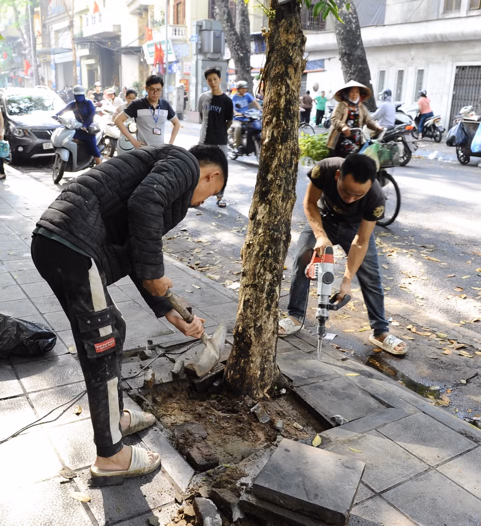 Những mảng ximăng, đá xây bít quanh gốc cây bị tháo dỡ. (Ảnh: Mạnh Khánh/TTXVN)