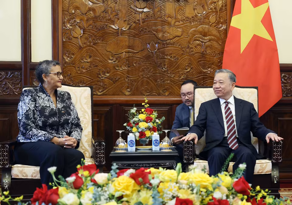Chủ tịch nước Tô Lâm tiếp Đại sứ Mozambique tại Việt Nam Ilundi Dos Santos. (Ảnh: Nhan Sáng/TTXVN)