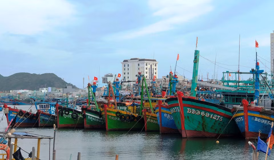 Tàu thuyền đang neo đậu trú bão số 9 tại cảng cá Quy Nhơn, Bình Định.(Ảnh: Nguyên Linh/TTXVN)