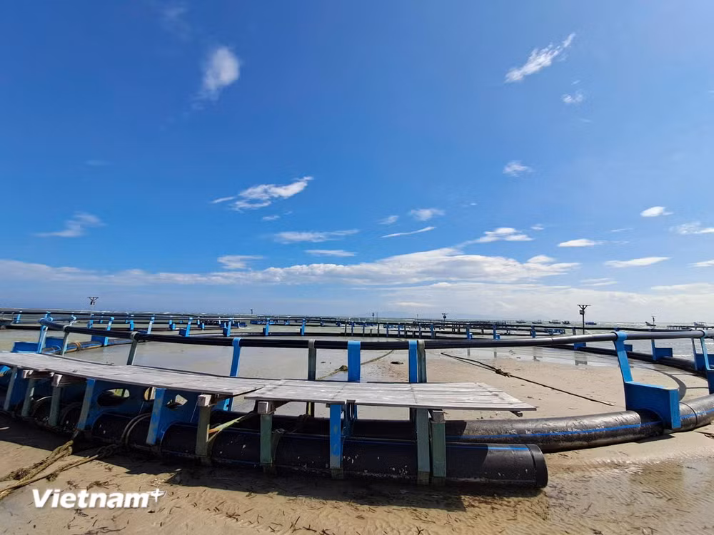 vnp_phat-trien-kinh-te-xanh.jpg