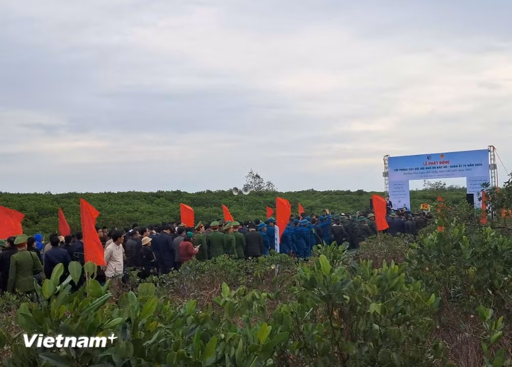 vnp-tet-trong-cay-nam-2025.jpg