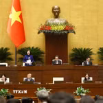 Phó Chủ tịch Quốc hội Nguyễn Thị Hồng phát biểu. (Ảnh: Doãn Tấn/TTXVN)