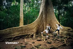 Du khách khám phá Vườn quốc gia Nam Cát Tiên. (Ảnh: Vương Công Nam/Vietnam+)
