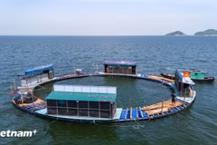 (Ảnh minh họa: PV/Vietnam+)