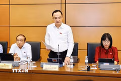 Đại biểu Nguyễn Ngọc Sơn, Đoàn ĐBQH thành phố Hải Phòng. (Ảnh: TTXVN)