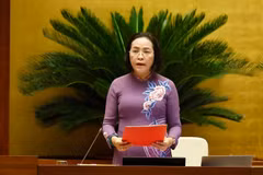 Phó Chủ tịch Quốc hội Nguyễn Thị Thanh điều hành phiên họp sáng nay, ngày 24/10. (Ảnh: Doãn Tấn/TTXVN)