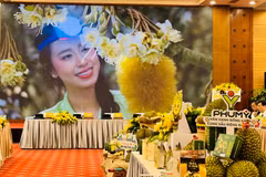 Ban tổ chức trình chiếu video quảng bá hình ảnh tiềm năng, thế mạnh Đắk Lắk tại sự kiện. (Ảnh: Mai Mai/Vietnam+)