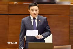 Bộ trưởng Bộ Công Thương Lê Mạnh Hùng phát biểu giải trình ý kiến đại biểu. (Ảnh: TTXVN)