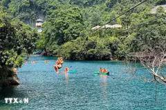 Du khách trải nghiệm đu dây ở Phong Nha-Kẻ Bàng. (Ảnh: TTXVN)