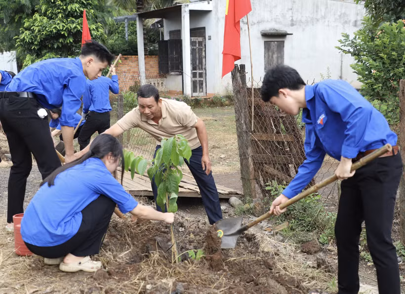 Thanh niên tình nguyện trồng cây phủ xanh không gian. (Ảnh: Vietnam+)
