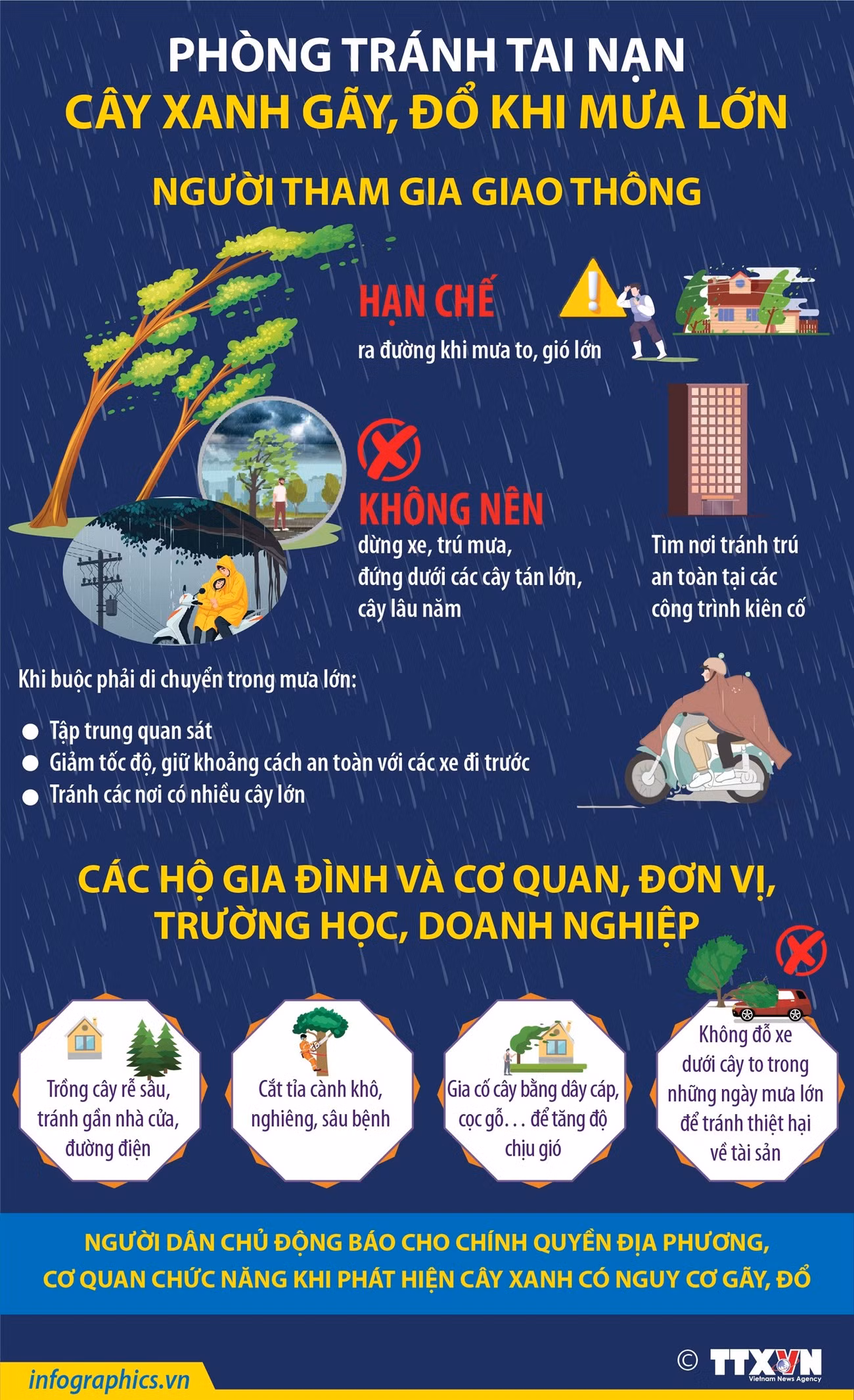 phong-tranh-tai-nan-cay-xanh-gay-do-khi-mua-lon.jpg