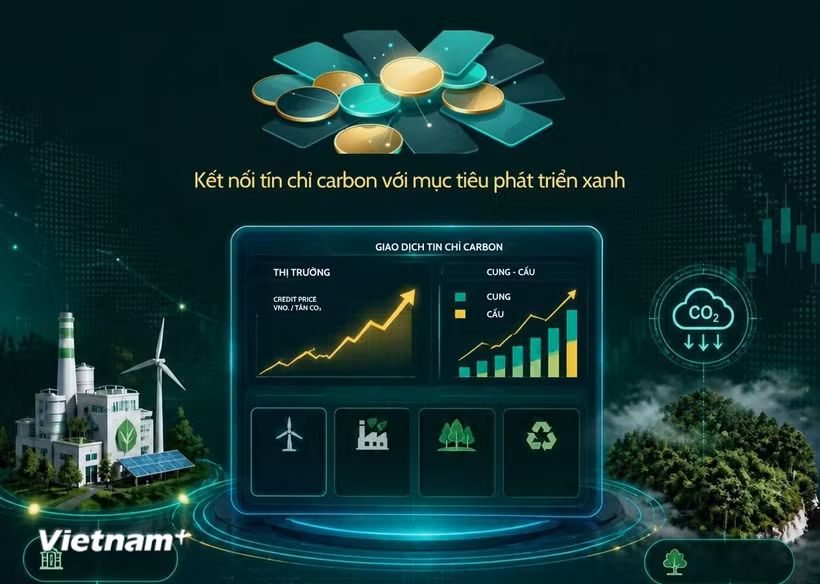 Ảnh minh họa. (Nguồn: Vietnam+)