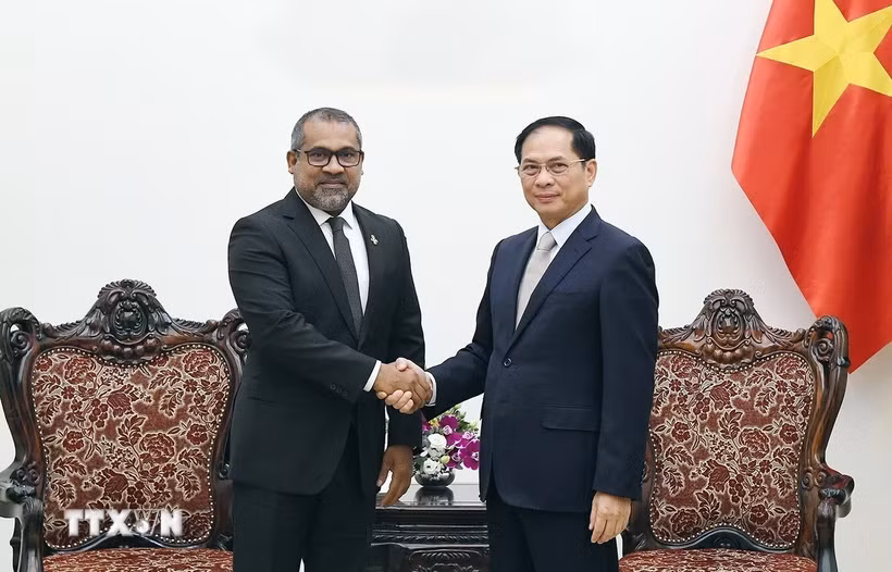Phó Thủ tướng Bùi Thanh Sơn tiếp Bộ trưởng Ngoại giao Maldives Abdulla Khaleel. (Ảnh: An Đăng/TTXVN)