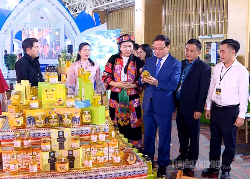 Ông Nguyễn Mạnh Tuấn, Ủy viên Ban Thường vụ Tỉnh ủy, Phó Chủ tịch Thường trực UBND tỉnh Tuyên Quang thăm gian hàng của tỉnh tại Hội chợ mùa Thu. (Ảnh: Cổng thông tin điện tử tỉnh Tuyên Quang)