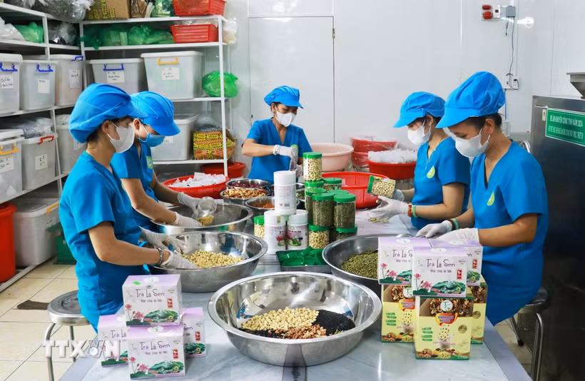 Lao động nữ tại một hợp tác xã. (Ảnh: Tường Vi/TTXVN)