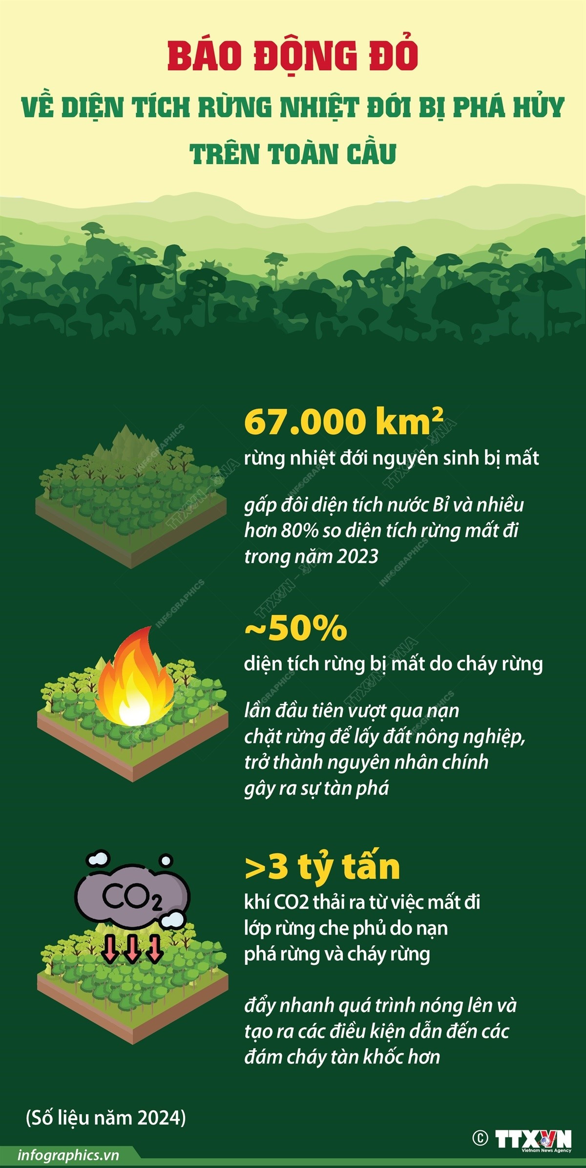 infographics-pha-rung-mua-nhiet-doi-1.jpg