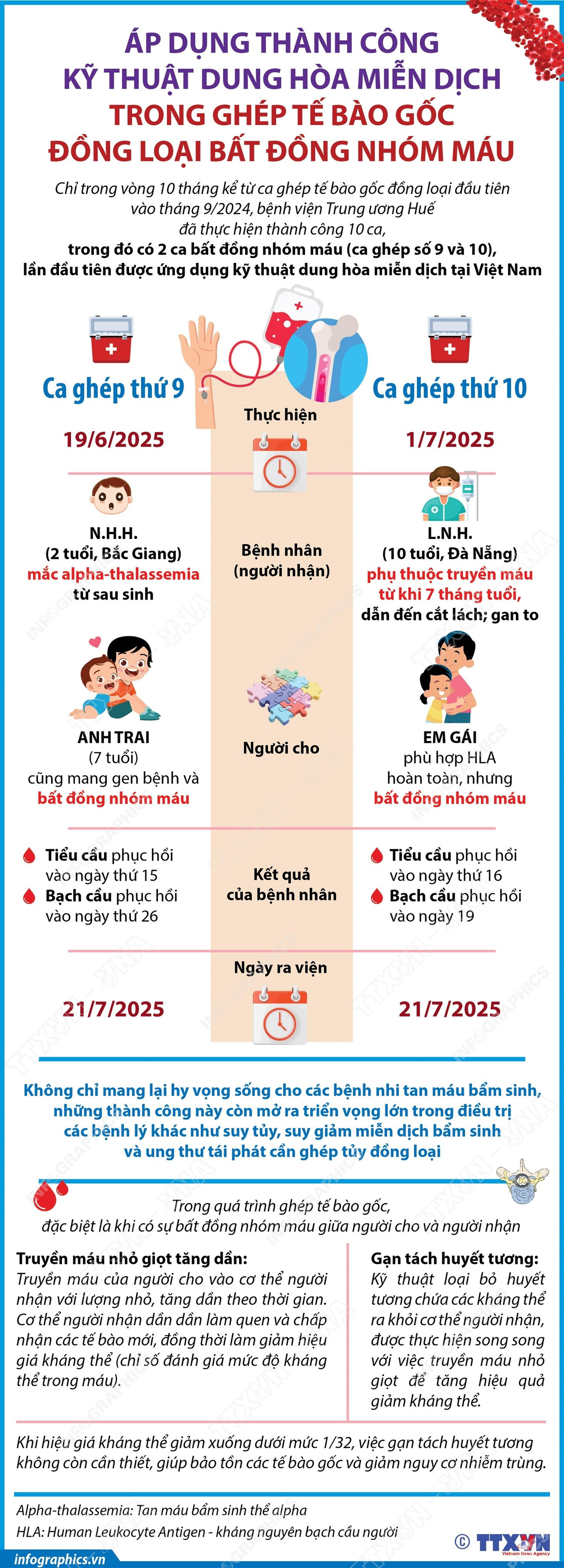 infographics-ghep-te-bao-goc-1.jpg