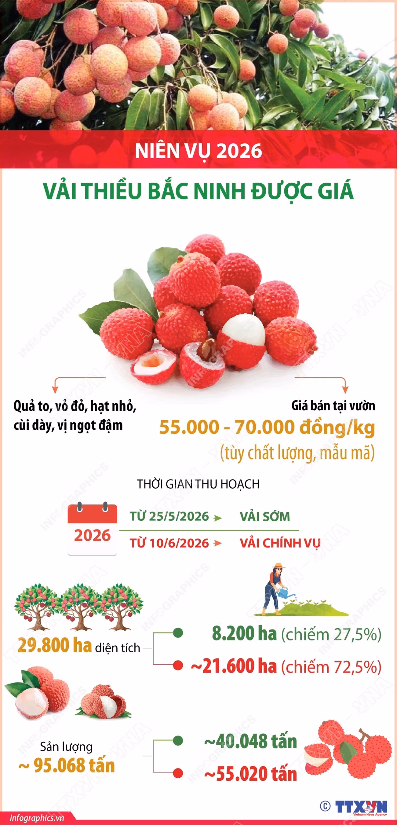 info-nien-vu-2026-vai-thieu-bac-ninh-duoc-gia-1.jpg