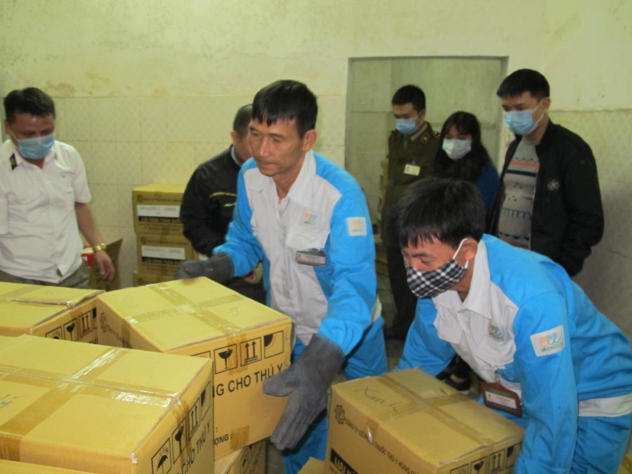 Dưới sự chứng kiến của đoàn liên ngành, số thuốc thú y trên được đưa đi tiêu hủy. (Ảnh: Đức Duy/Vietnam+)