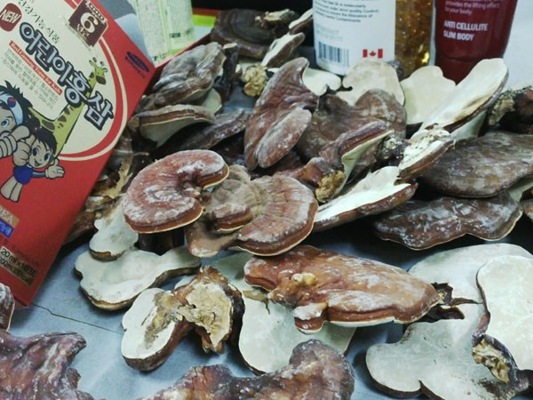 Nấm Linh Chi được chủ hàng khai mua gom từ nguồn xách tay. (Ảnh: Đức Duy/Vietnam+)