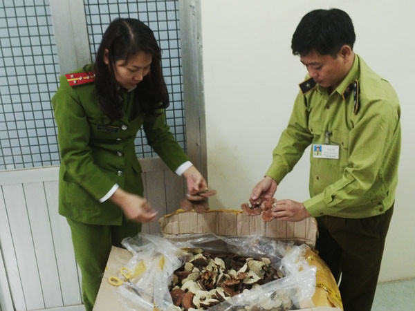 Lực lượng Công an và Quản lý thị trường Hà Nội kiểm tra số thực phẩm chức năng vừa thu giữ. (Ảnh: Đức Duy/Vietnam+)