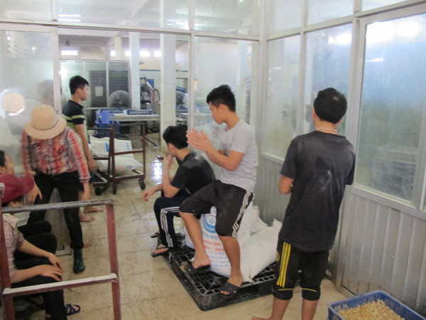 Nhân viên còn dùng chân để dẫm lên các bao tải hương liệu để trò chuyện khi giải lao (Ảnh: Đức Duy/Vietnam+)