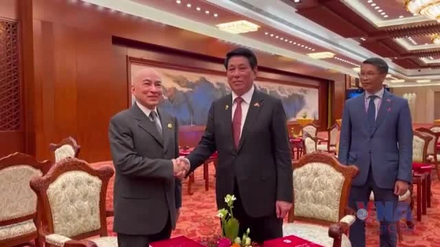 Chủ tịch nước Lương Cường gặp lãnh đạo các nước tại Trung Quốc