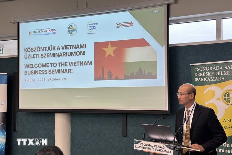 Đại sứ Việt Nam tại Hungary Bùi Lê Thái phát biểu khai mạc tại hội thảo. (Ảnh TTXVN phát)