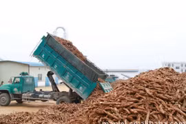 Các sản phẩm nông nghiệp được sản xuất tại “Xứ sở chùa vàng” hàng năm tạo ra nhiều rác thải nông nghiệp như rơm rạ, trấu và bã mía. (Nguồn: sustainablecassava)