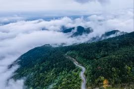 Vườn quốc gia Tam Đảo nhìn từ trên cao. (Nguồn: Sở Văn hóa Thể thao và Du lịch tỉnh Vĩnh Phúc)