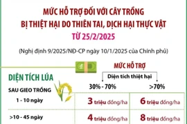 Mức hỗ trợ đối với cây trồng bị thiệt hại do thiên tai, dịch hại thực vật