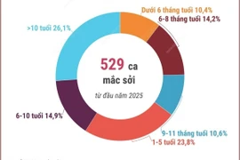 Số ca mắc sởi ở Hà Nội giảm song vẫn ở mức cao