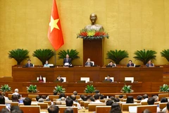 Quốc hội thảo luận về kết quả phát triển kinh tế-xã hội, ngân sách nhà nước năm 2024. (Ảnh: TTXVN)