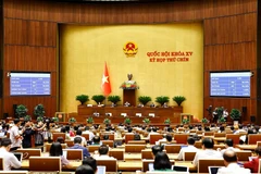 Quốc hội biểu quyết thông qua Luật Nhà giáo. (Ảnh: TTXVN)