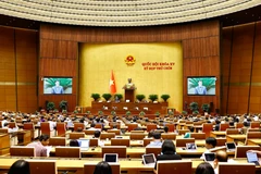 Quốc hội thảo luận tại hội trường về dự thảo Nghị quyết của Quốc hội quy định một số cơ chế, chính sách đặc biệt tạo đột phá trong xây dựng và tổ chức thi hành pháp luật. (Ảnh: TTXVN)
